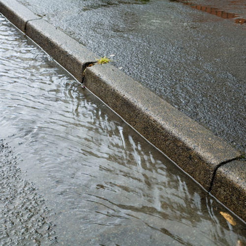 Water running along the curb of sidewalk